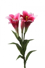 Lelie "longiflorum" (easter lily) 76cm cerise